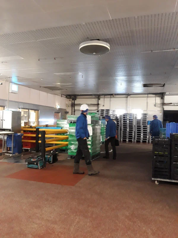 Hilton Food - Brecon Group